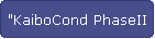"KaiboCond PhaseII