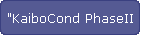 "KaiboCond PhaseII