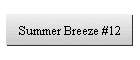 Summer Breeze #12