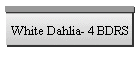 White Dahlia- 10 Max
